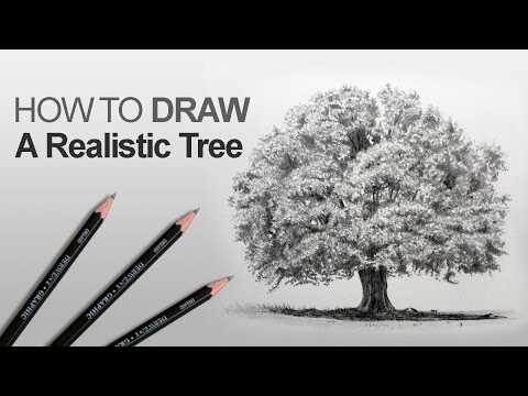 Video: How To Draw Tree Leaves