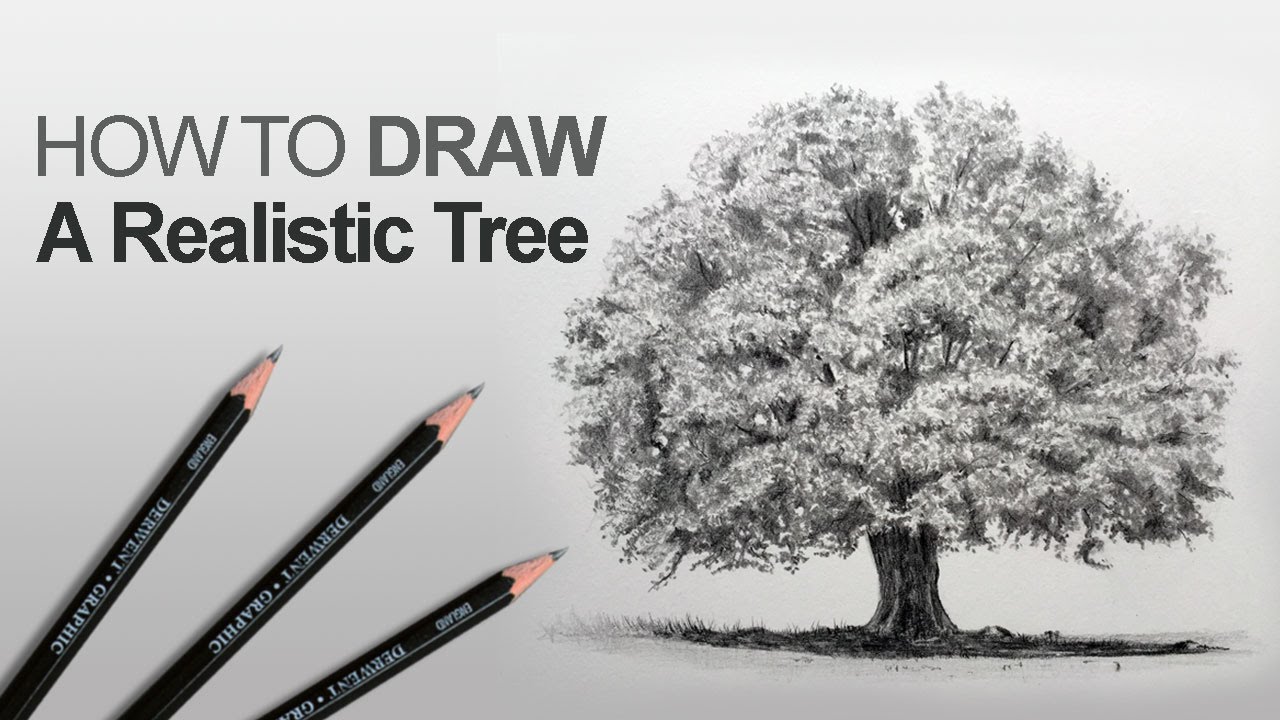 How to Draw Realistic Trees with Pen  Ink  Ran Art Blog