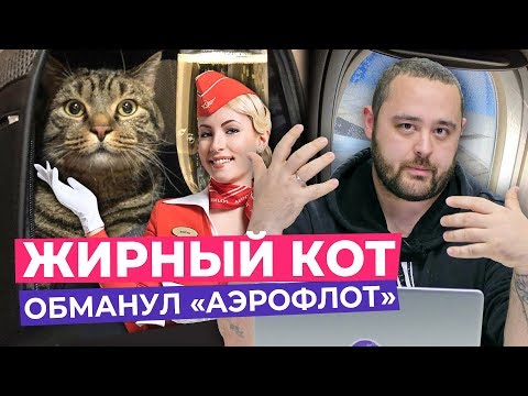 Как Аэрофлот издевается над пассажирами