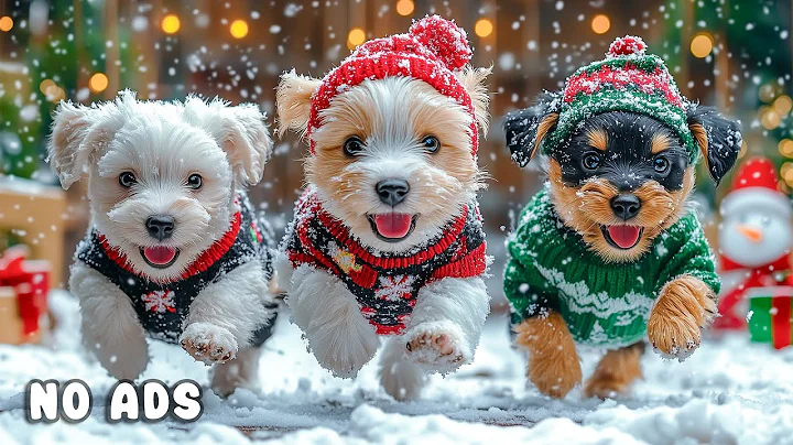 24 Hours of Dog TV for Dogs to Watch 🐶🎄 Christmas Serenity Music for Running Dogs & Stress Relief