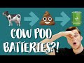 Turning cow poo into batteries! 🐮🔋💩 Learn English by listening! 🎧 - Beginner