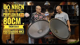 Trùm cuối Woofer Bass 80cm Custom nhện phíp, gặp Trùm cuối Fostex T500A Mk3 / Bảo dưỡng JBL375