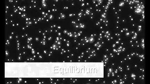 Stop flow in microfluidic device - Elveflow