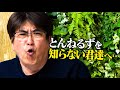 とんねるずを知らない君達へ...