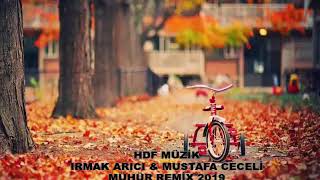 IRMAK ARICI & MUSTAFA CECELİ - MÜHÜR REMİX 2019 Resimi