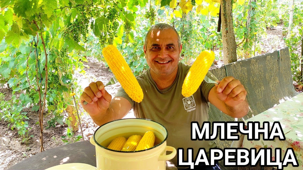 ВАРЕНА МЛЕЧНА СЛАДКА ЦАРЕВИЦА! 