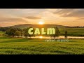 Calm Focus Relief Music 🌿| 20 Minutes of Deep Relaxation &amp; Stress Relief