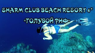 Подводное плавание у красивого рифа отеля.SHARM CLUB BEACH RESORT (EX.LABRANDA TOWER RESORT)