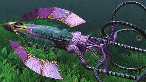 Squid  Demo   NVIDIA 2002