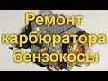 Ремонт бензокосы