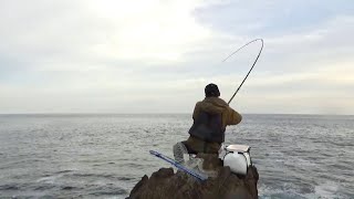 日本海の荒波に浮かぶ小さな磯でカゴ釣りしたら想像以上の大物が、、、