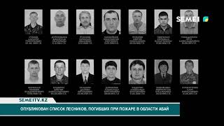 Опубликован список лесников, погибших при пожаре в области Абай