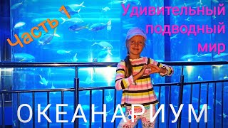 ОКЕАНАРИУМ СПб 🐠Планета Нептун🐡 Удивительный подводный мир🦈