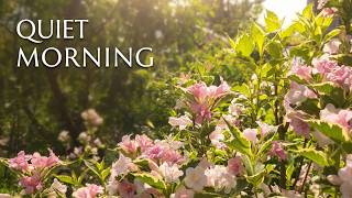 A Quiet Morning in My Garden 🌸 Real Birds & Weigela Sounds  1 Hour of Nature Relaxation