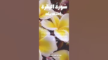 الآية ٢٦٥ من سورة البقرة صفحة ٤٥ من القرآن الكريم حفظ ومراجعة وتثبيت