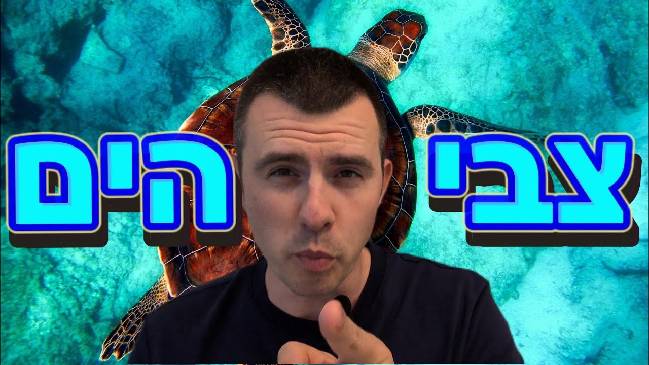 צבי הים – עובדות שלא הכרתם, למה הם נעלמים ואיך נוכל להציל אותם | פרק 15