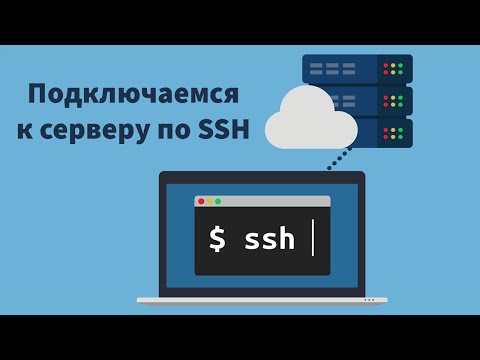 Подключение к серверу через SSH | Windows | Linux | UnixHost