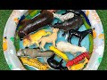 Farm Meets Jungle : A Fun Animals Make Jungle Friends