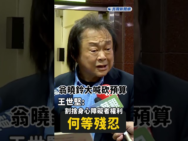 快新聞／翁曉鈴大喊砍預算 王世堅：割捨身心障礙者的權利 何等殘忍