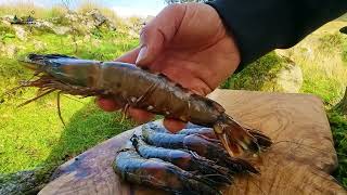 Sea food Pasta cooked by the beautiful lake (ASMR Cooking, CAMPING)