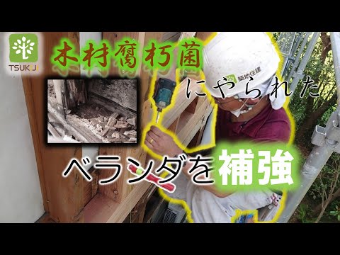 腐ったベランダの補修「木材腐朽菌」２【耐久】