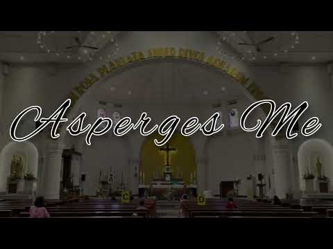 PS 233 — Asperges Me