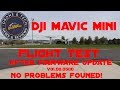 DJI Mavic Mini Flight Test After the V01.00.0500 Firmware Update