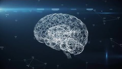 Digital Brain And AI Stock Motion Graphics