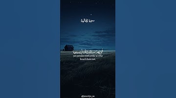 سورة الجاثية | القارئ : ياسر الدوسري | #alquran #fypシ゚viral #youtube 