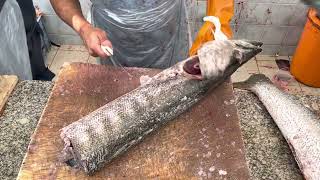 Sooo Long Barracuda Fish Cutting।। Perfect Speed Fish Cutting Master।। Fish Cutting Legacy