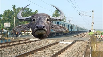 Dangerous Buffalo Headed ICF Emu Howrah-katwa Local Furious Moving Throughout At Railgate