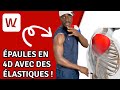 Paules en 4d avec des lastiques