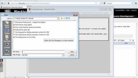 Uploading Files into Blackboards File Manager