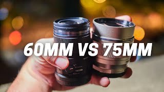 Olympus 60mm Macro or 75mm F1.8 - Which Is Better?