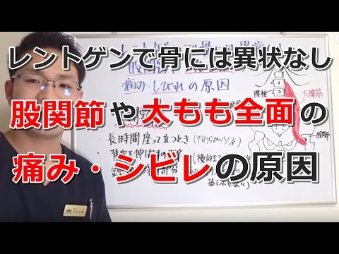 レントゲンで骨に異常なし、股関節や太もも前面の痛み・しびれの原因　 大阪の整体『西住之江整体院』