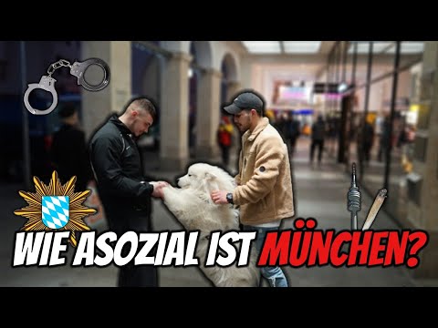 WIE ASOZIAL IST MÜNCHEN? | Straßenumfrage | StreetComedy | SmitTV