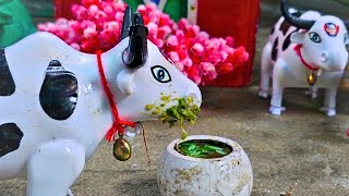 WADIDAU ‼️🐂‼️ WALKING COW COW PROCESS COW MOO CARTOON VIDEO CUTE COW #467