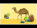 Animal songs walk like a camel by storybots  netflix jr