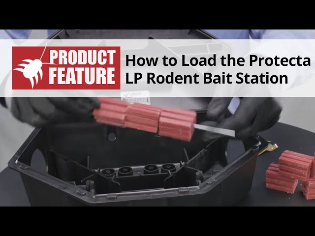 Protecta LP Rat Bait Station