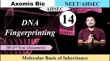 Molecular Basis of Inheritance|Lecture 13| DNA fingerprinting| Dr. Rajib Borah| Axomia Bio