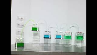 Multi Airlock system