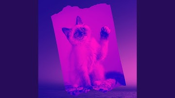 Pulsating Backdrops for Cats and Dogs Relaxation