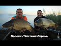 Турнір "IRON FISH"  - 6 Этап, водойма "Орлеан". 1частина | Телеканал #Трофей