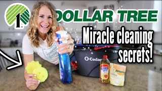 9 *ALL NEW* MIRACLE CLEANERS you SHOULD be buying! ❤️ some BETTER than the Dollar Tree! screenshot 1