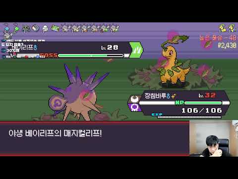 포켓로그 히스이 침바루 1마리로 클래식 200층깨기