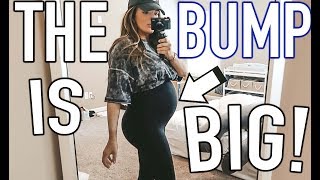 THE BUMP IS GETTING BIG 6 MONTHS PREGNANT BUMPDATE | Casey Holmes Vlogs