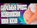 САКРАЛЬНЫЙ ПРОЦЕСС ВОЗНИКНОВЕНИЯ НОВОЙ ЖИЗНИ | Абсолютный Ченнелинг