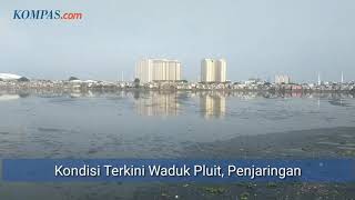 Download lagu Jokowi Minta Waduk di Jakarta Dikeruk, Begini Kondisi Waduk Pluit