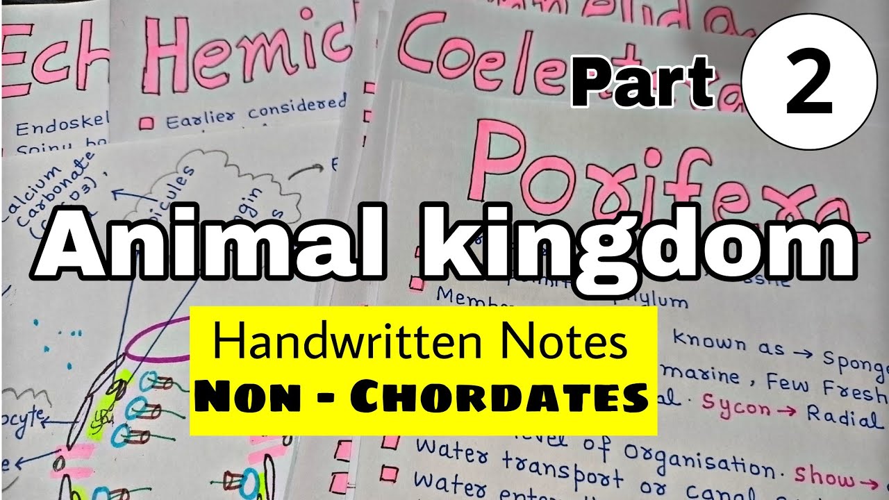 Animal Kingdom Chart For Neet