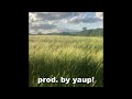 [free] sad guitar + alex g + wifiskeleton type beat - grain (prod. by yaup!)